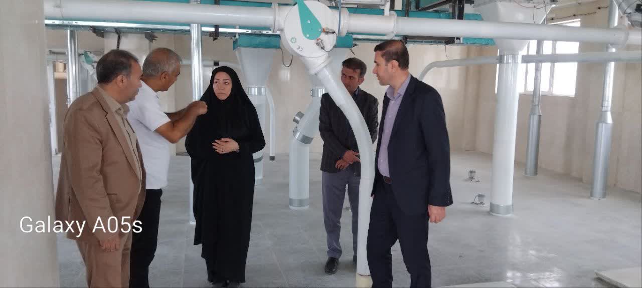 بازدید فرماندار پلدشت از مراکز خرید تضمینی گندم