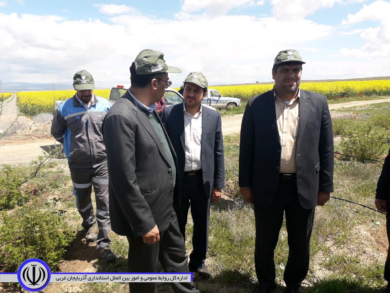 دستگاه های اجرایی شهرستان پلدشت آمادگی دارند در راستای حمایت و پشتیبانی از سرمایه گذاری، ورود فناوری ودانش روز در زمینه های کشاورزی، دامداری وشیلات همکاری و مساعدت های لازم را ارائه نمایند.