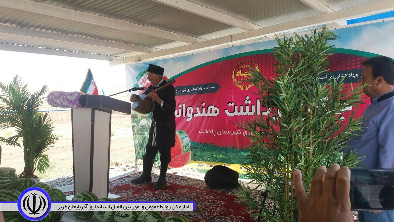 برای اولین بار جشنواره برداشت هندوانه در شهرستان پلدشت برگزار شد
