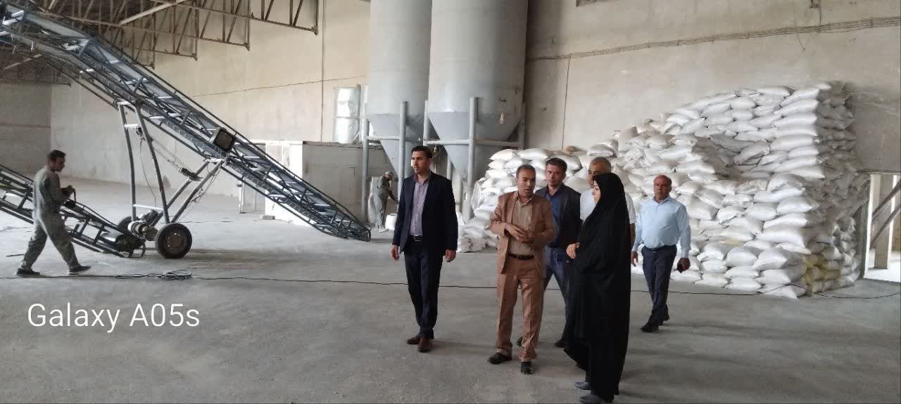 بازدید فرماندار پلدشت از مراکز خرید تضمینی گندم