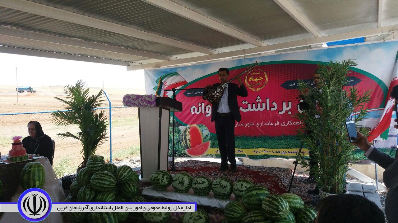 برای اولین بار جشنواره برداشت هندوانه در شهرستان پلدشت برگزار شد