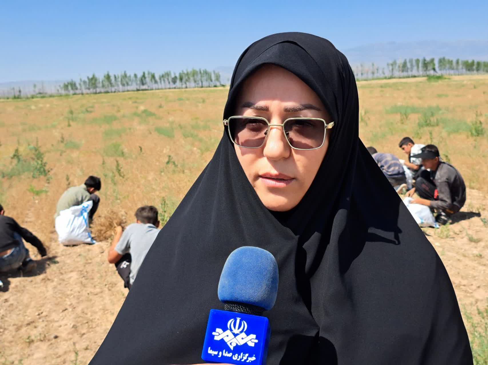 بازدید فرماندار پلدشت از سایت تولید گیاهان دارویی شرکت کرانه نیلگون افق