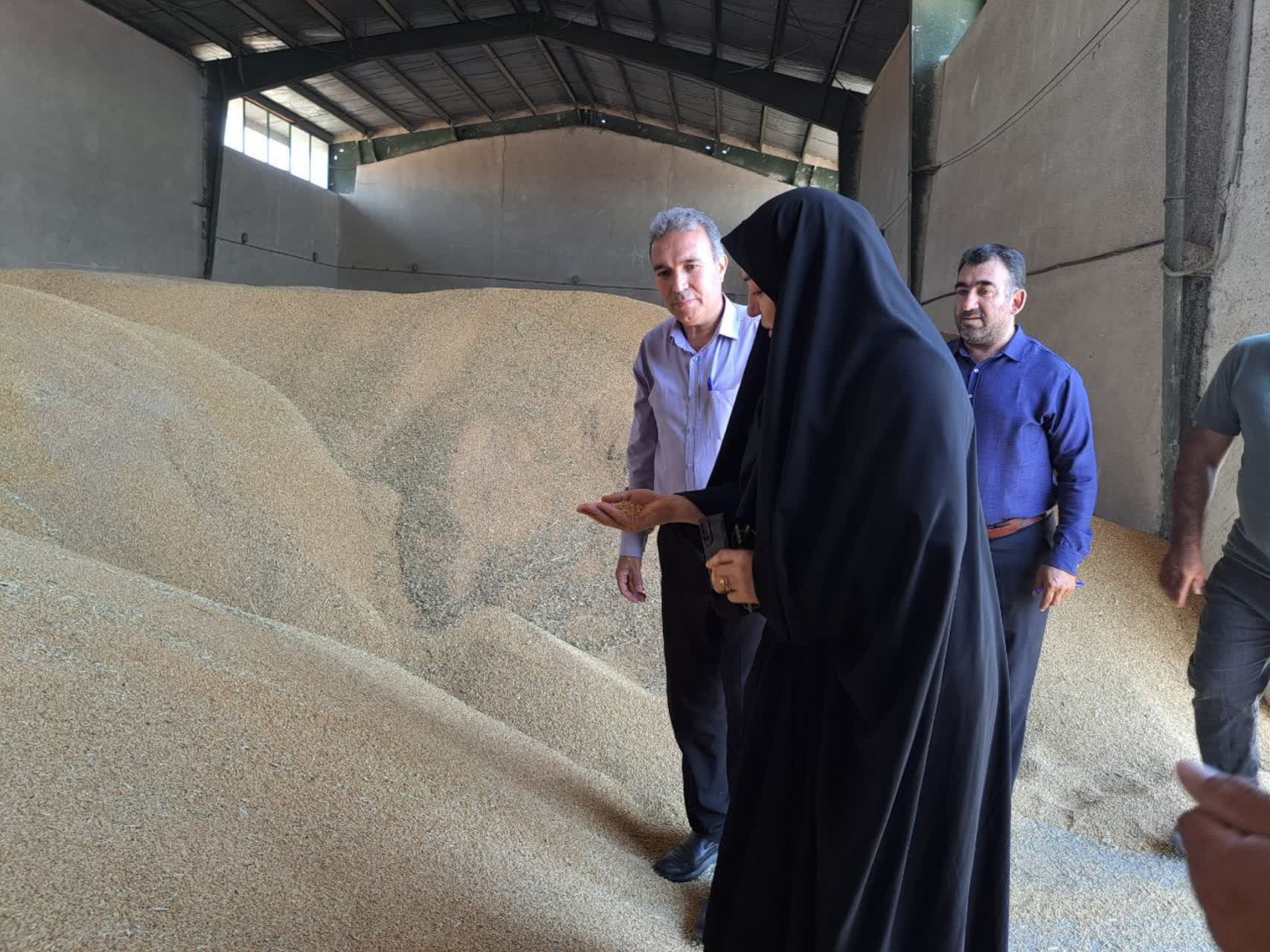 بازدید فرماندار از مرکز خرید گندم شرکت تعاونی روستایی ایثارگران آراز 2 در روستای شهرک ارس