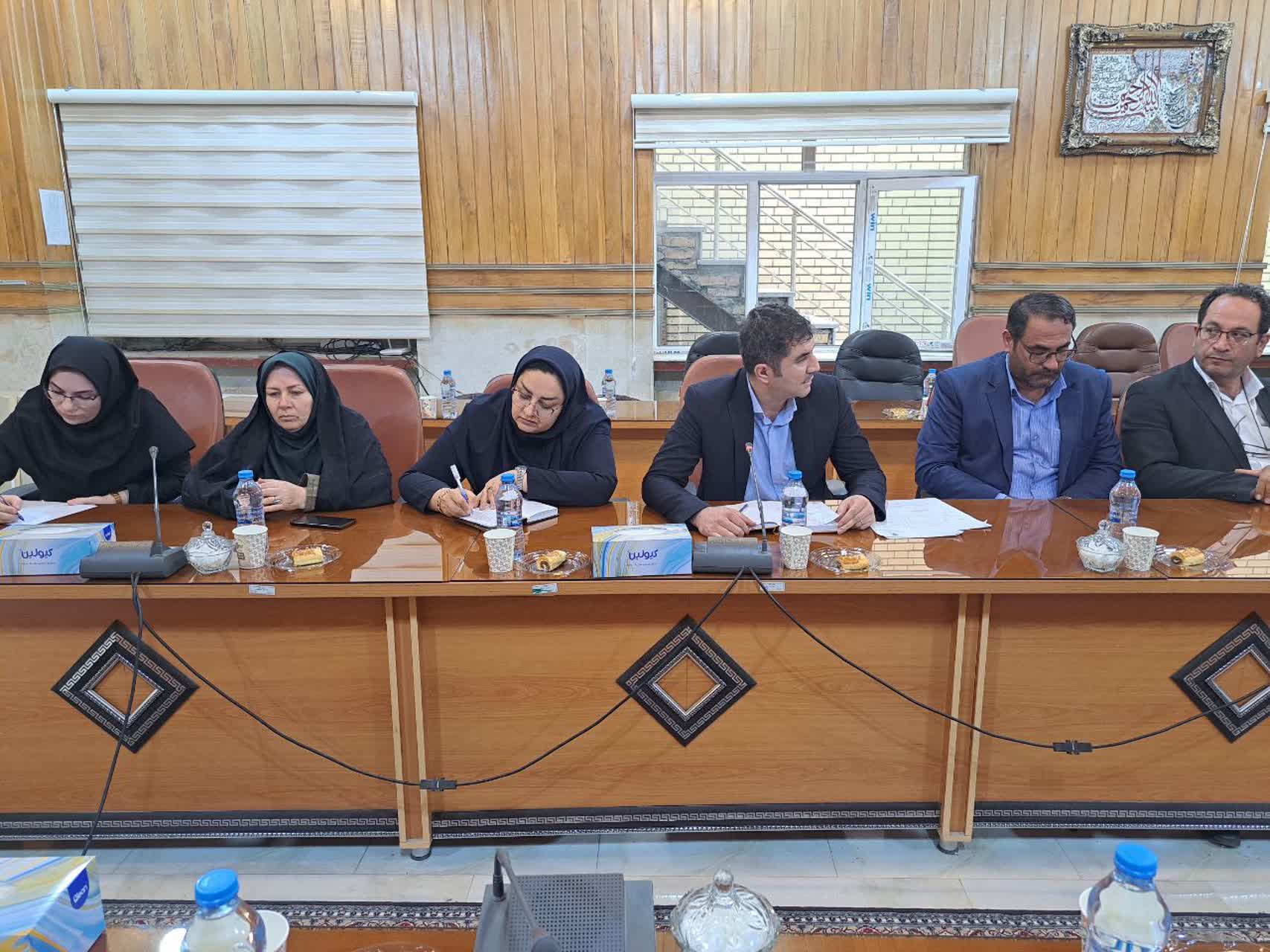شهرستان پلدشت پتانسیل بالا برای پیشرو بودن در جذب سرمایهگذاری و بهرهگیری از اقتصاد مرزی دارد