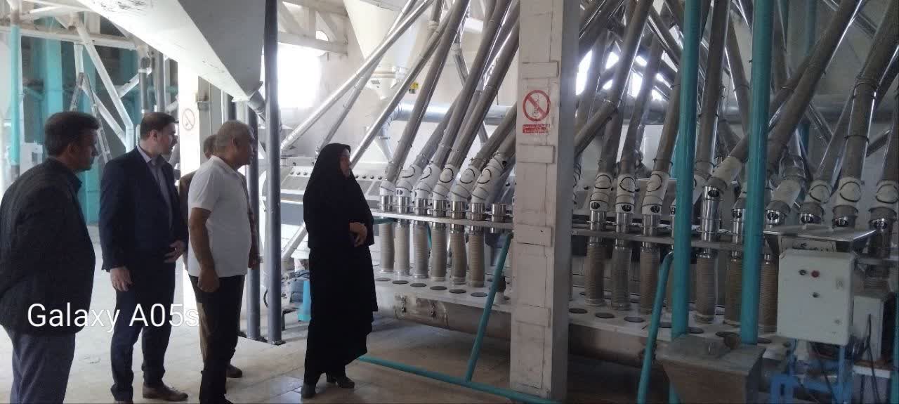 بازدید فرماندار پلدشت از مراکز خرید تضمینی گندم