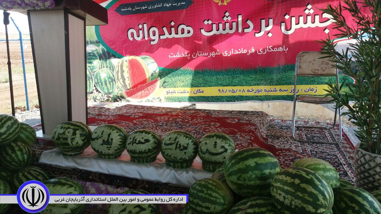 برای اولین بار جشنواره برداشت هندوانه در شهرستان پلدشت برگزار شد