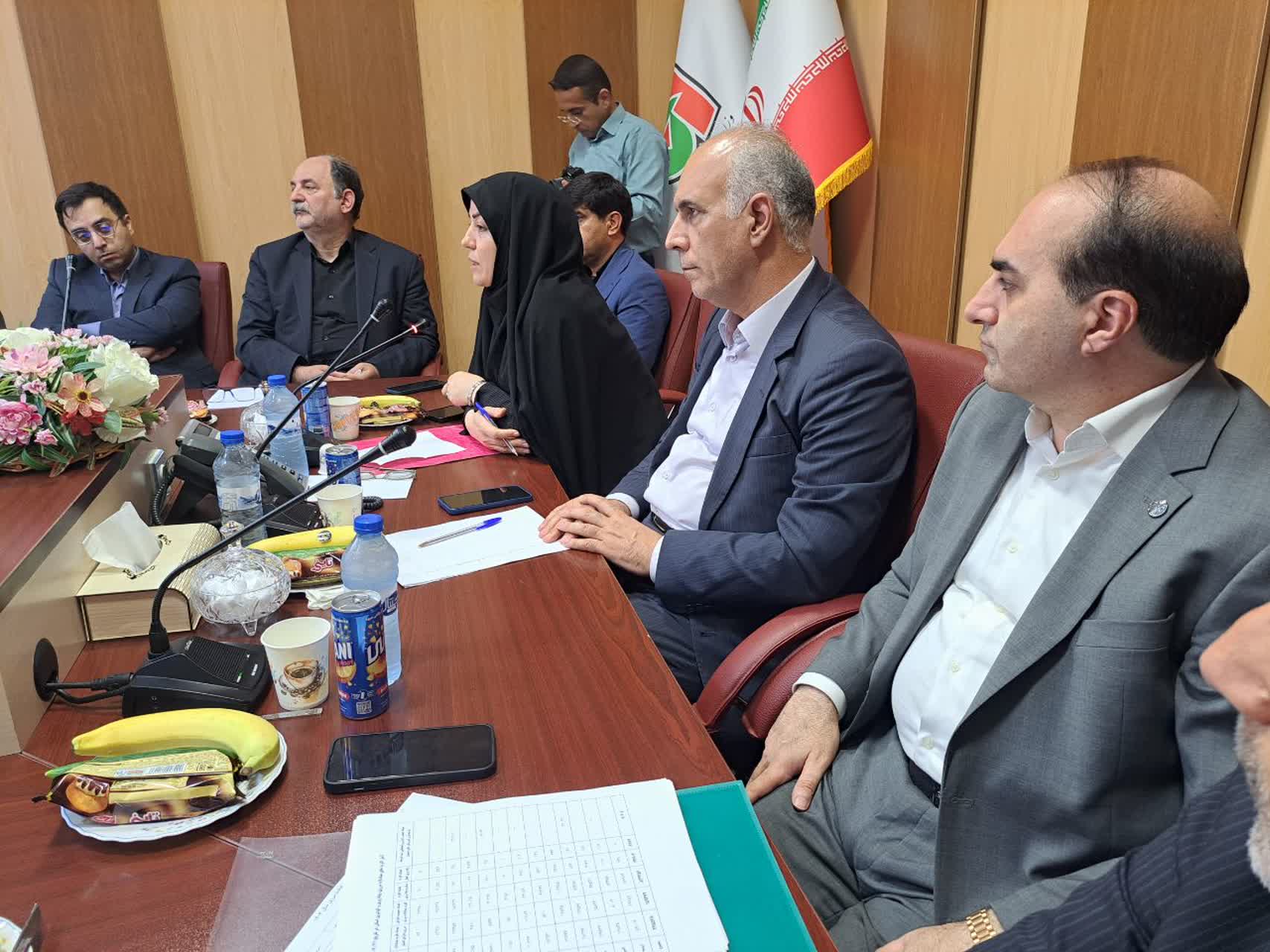 بازدید معاون هماهنگی امور اقتصادی استاندار آذربایجان‌غربی از ظرفیت‌های اقتصادی پلدشت/ تاکید فرماندار بر ضرورت جهش تولید و رفع موانع سرمایه‌گذاری