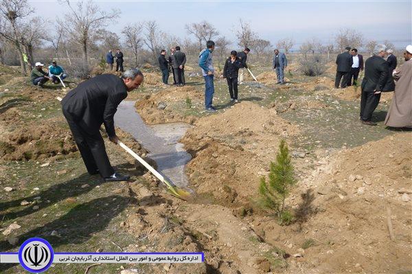 گرفتن جان دوباره جنگل های حاشیه رودخانه ارس شهرستان پلدشت با غرس 2 هزار اصله نهال در این منطقه