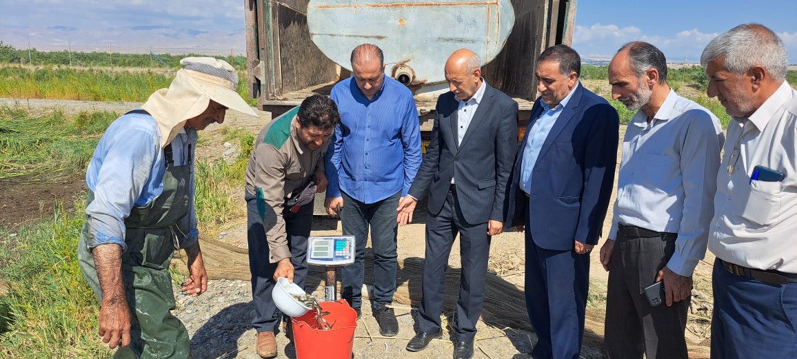 افزون بر سه میلیون قطعه انواع بچه ماهی از گونه های کپور، آمور، فیتو فاک و بیگ هد به رودخانه ارس رهاسازی شد.