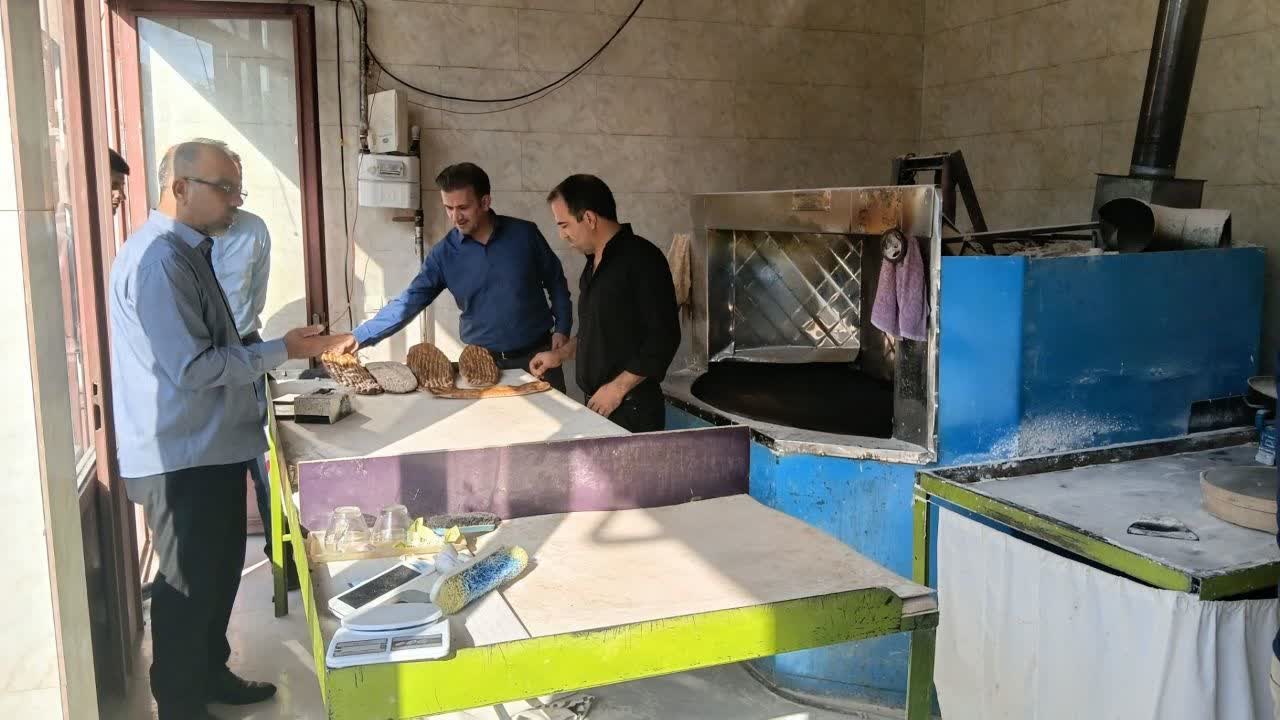 بازدید میدانی معاون سیاسی، امنیتی و اجتماعی فرمانداری شهرستان از نانوایی‌های سطح شهر پلدشت
