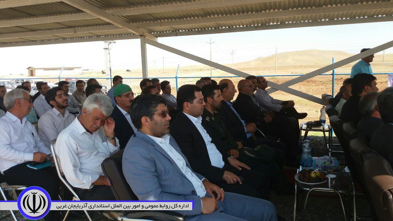 برای اولین بار جشنواره برداشت هندوانه در شهرستان پلدشت برگزار شد