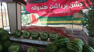 جشنواره هندوانه 98