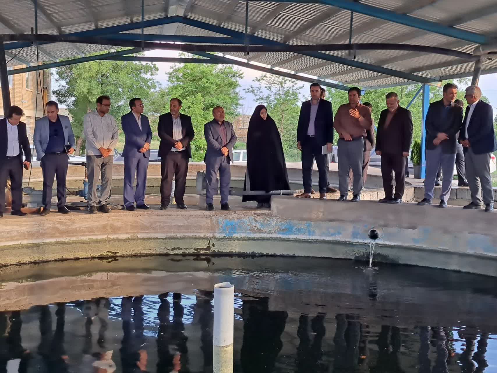 بازدید معاون وزیر جهاد کشاورزی از ظرفیتهای دامپروری و پایانه مرزی پلدشت