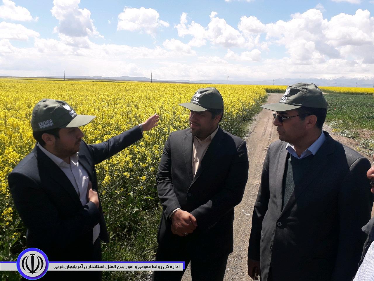 دستگاه های اجرایی شهرستان پلدشت آمادگی دارند در راستای حمایت و پشتیبانی از سرمایه گذاری، ورود فناوری ودانش روز در زمینه های کشاورزی، دامداری وشیلات همکاری و مساعدت های لازم را ارائه نمایند.