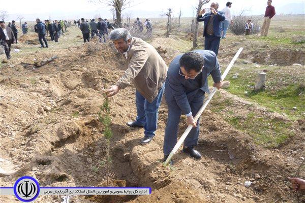 گرفتن جان دوباره جنگل های حاشیه رودخانه ارس شهرستان پلدشت با غرس 2 هزار اصله نهال در این منطقه