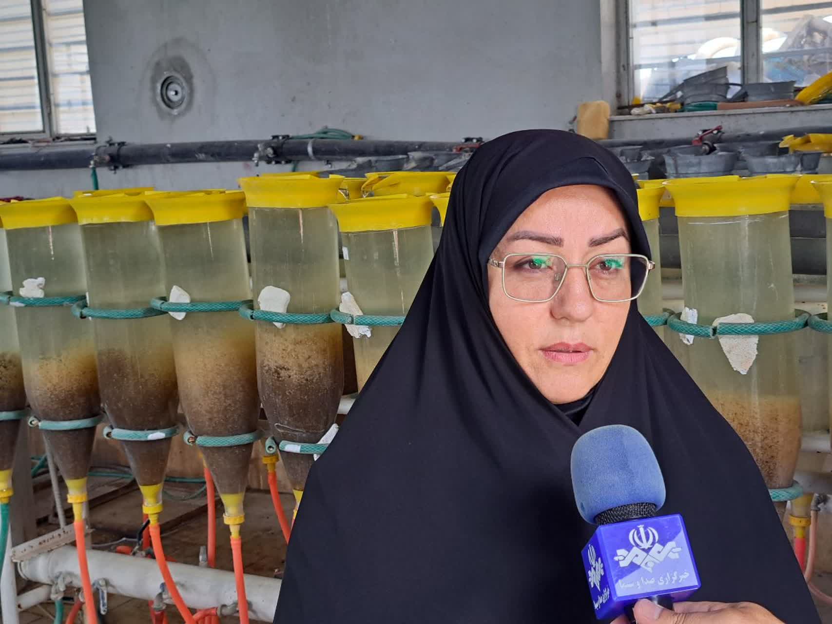 در مرکز تکثیر و پرورش آبزیان شهید کاظمی پلدشت سالانه به طور میانگین حدود 12 میلیون قطعه انواع بچهماهی تکثیر و پرورش داده میشود