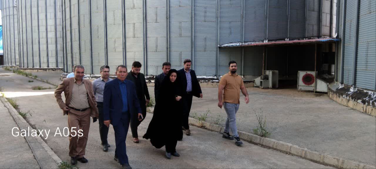 بازدید فرماندار پلدشت از مراکز خرید تضمینی گندم