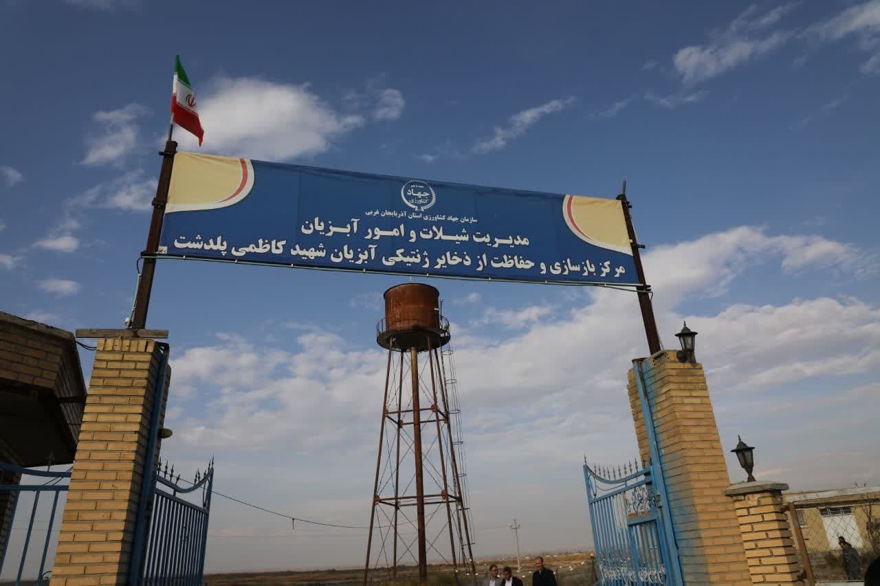 آلبوم تصویری / بازدید استاندار آذربایجان غربی از شیلات و مرکز بازسازی و حفاظت از ذخایر ژنتیکی آبزیان شهید کاظمی پلدشت