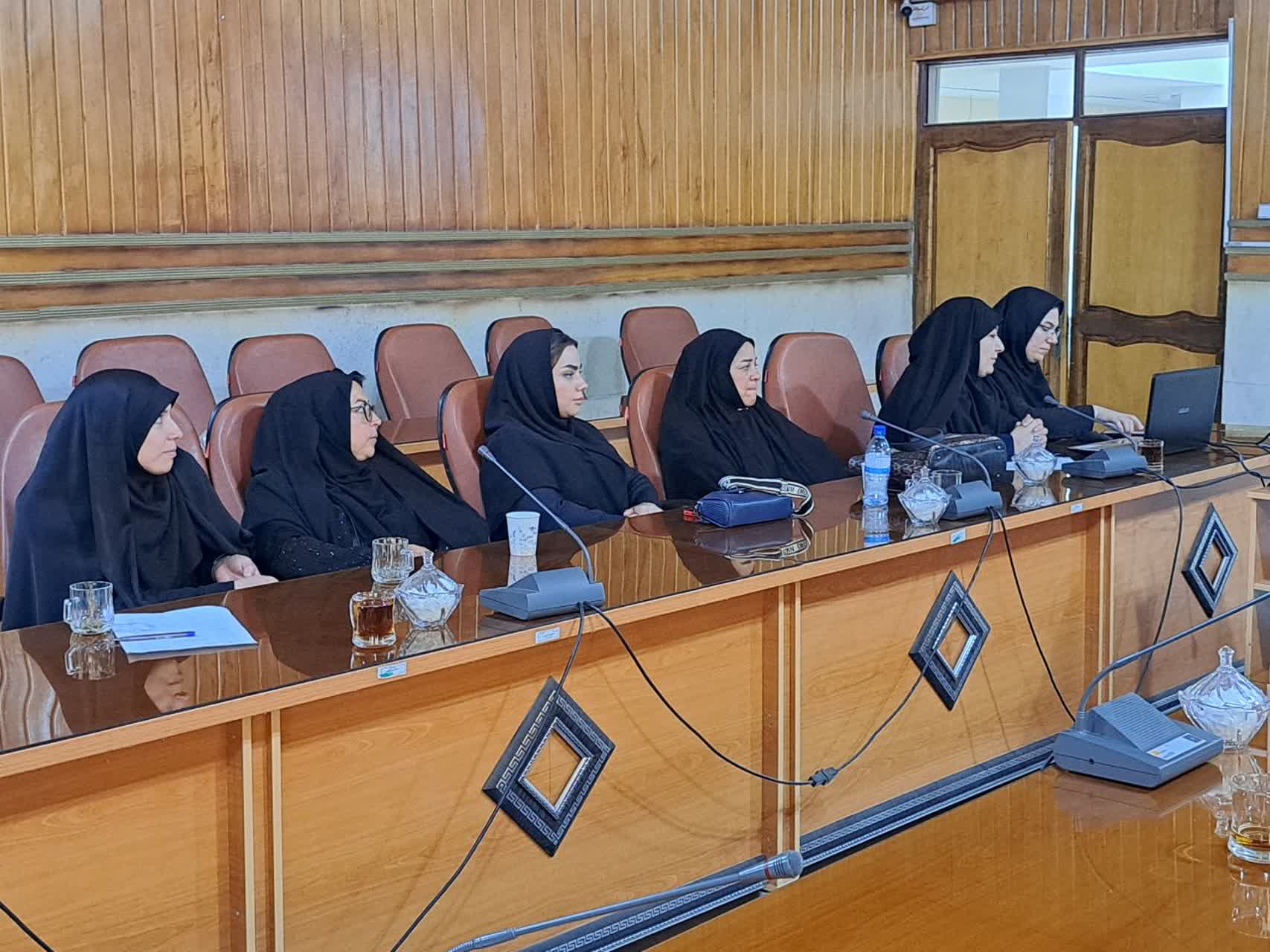 حضور بانوان پلدشتی در وبینار آموزشی ورود به بازارهای دیجیتال