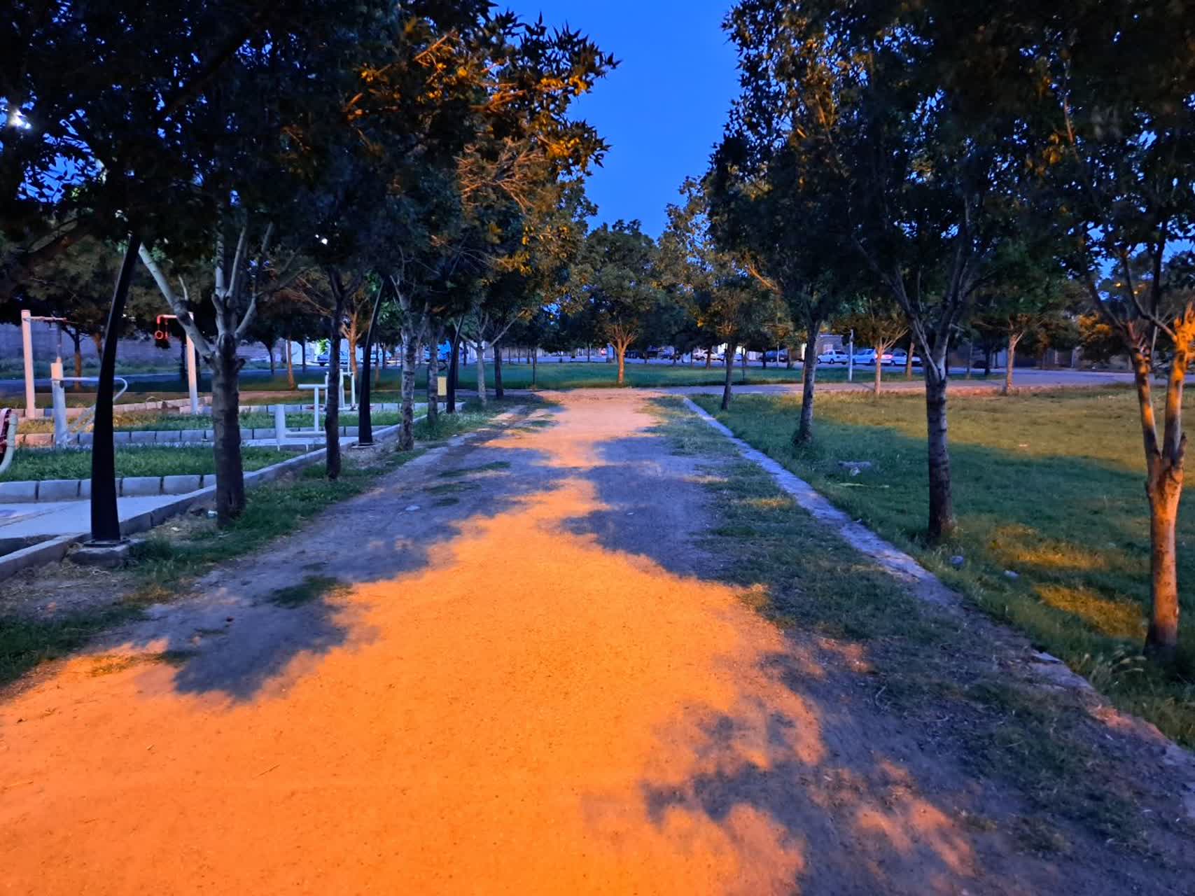 باید توجه ویژهای به زیباسازی فضای شهری، ساماندهی سرویسهای بهداشتی و تجهیز پارکها برای رفاه شهروندان شود